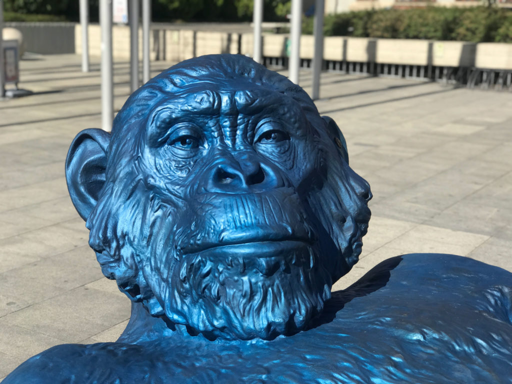 Face of the Blue Gorila Sculpture by Denis Defrancesco in Public